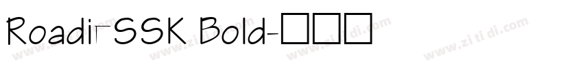 RoadieSSK Bold字体转换